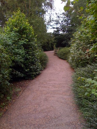 photo.jpg