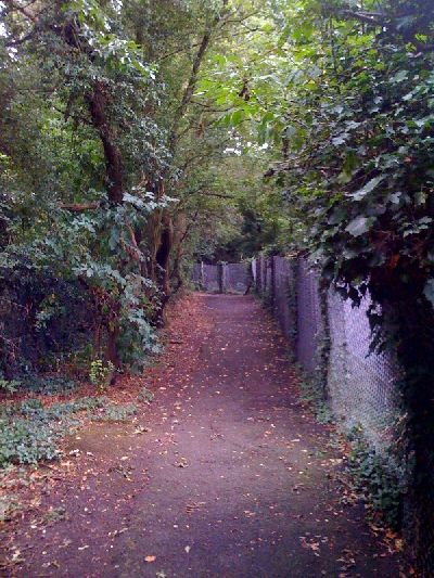 photo.jpg