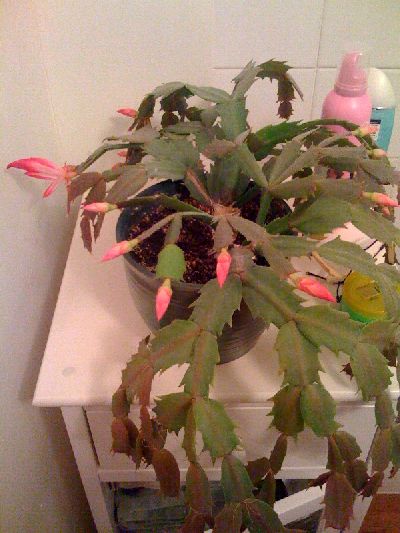 photo.jpg