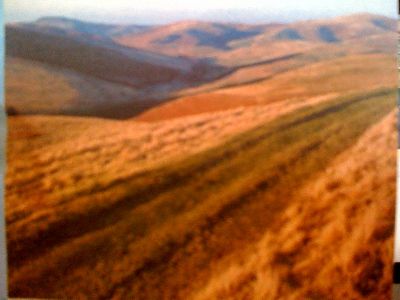 photo.jpg