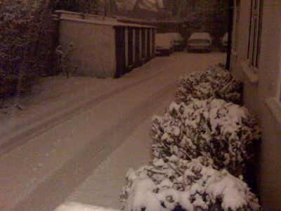 photo.jpg