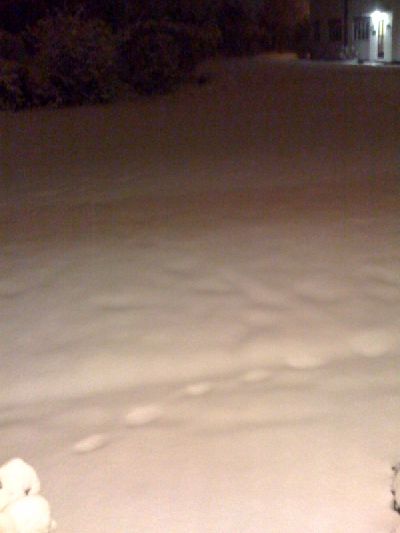 photo.jpg