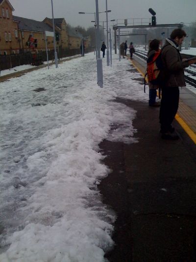photo.jpg