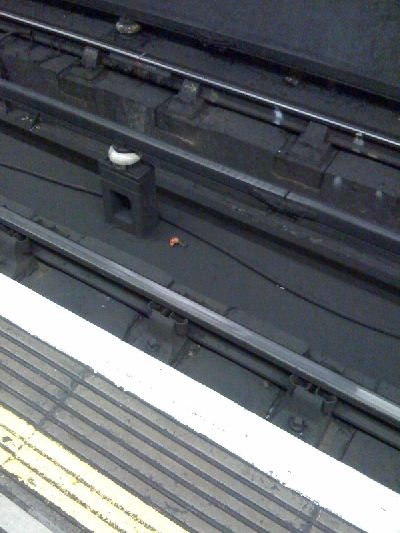photo.jpg