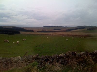 photo.jpg