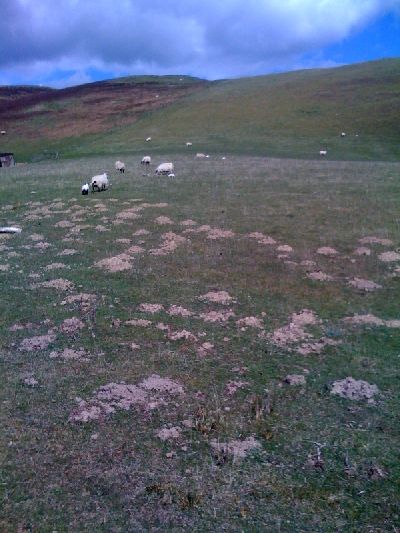 photo.jpg