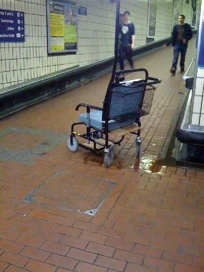 photo.jpg