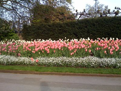 photo.jpg